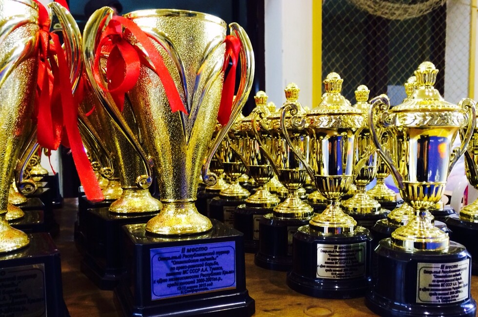 Фото: Федерация спортивной борьбы ДНР