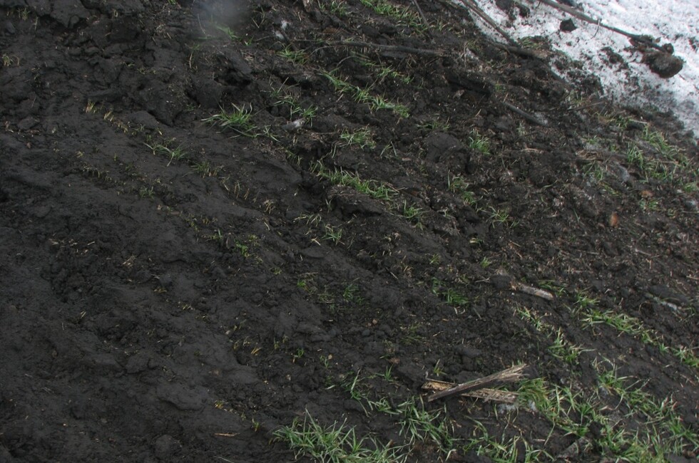 Генеральная прокуратура ДНР