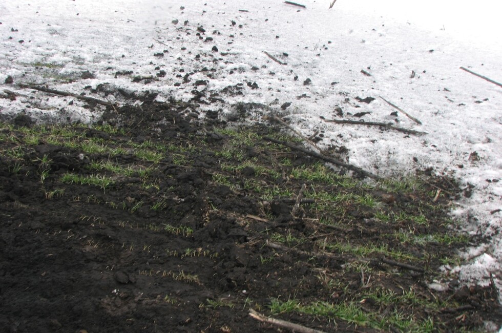 Генеральная прокуратура ДНР