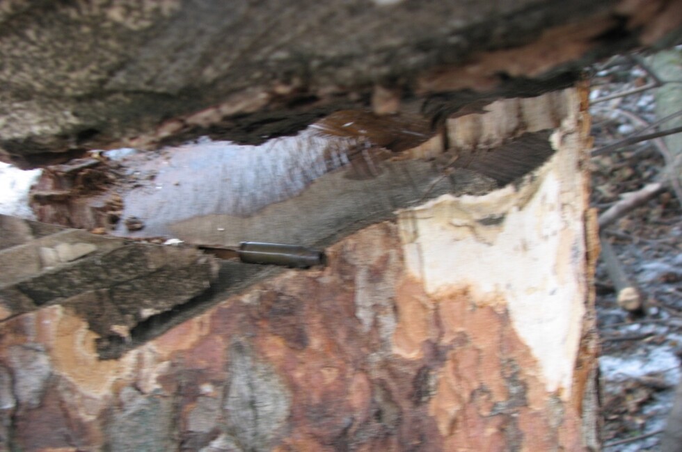 Генеральная прокуратура ДНР