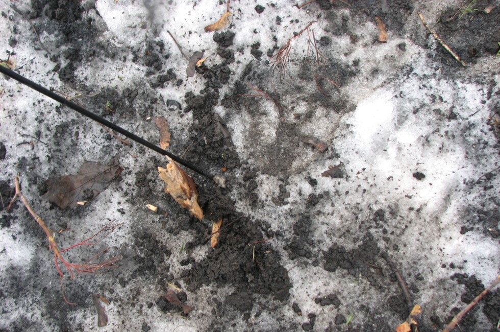 Генеральная прокуратура ДНР