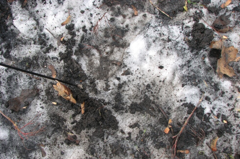 Генеральная прокуратура ДНР