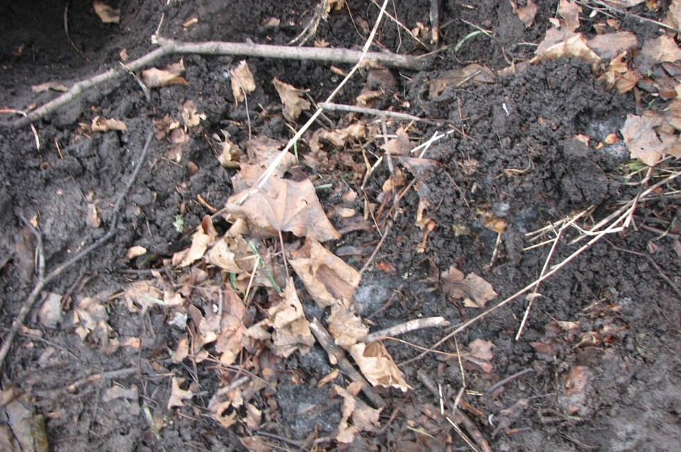 Генеральная прокуратура ДНР