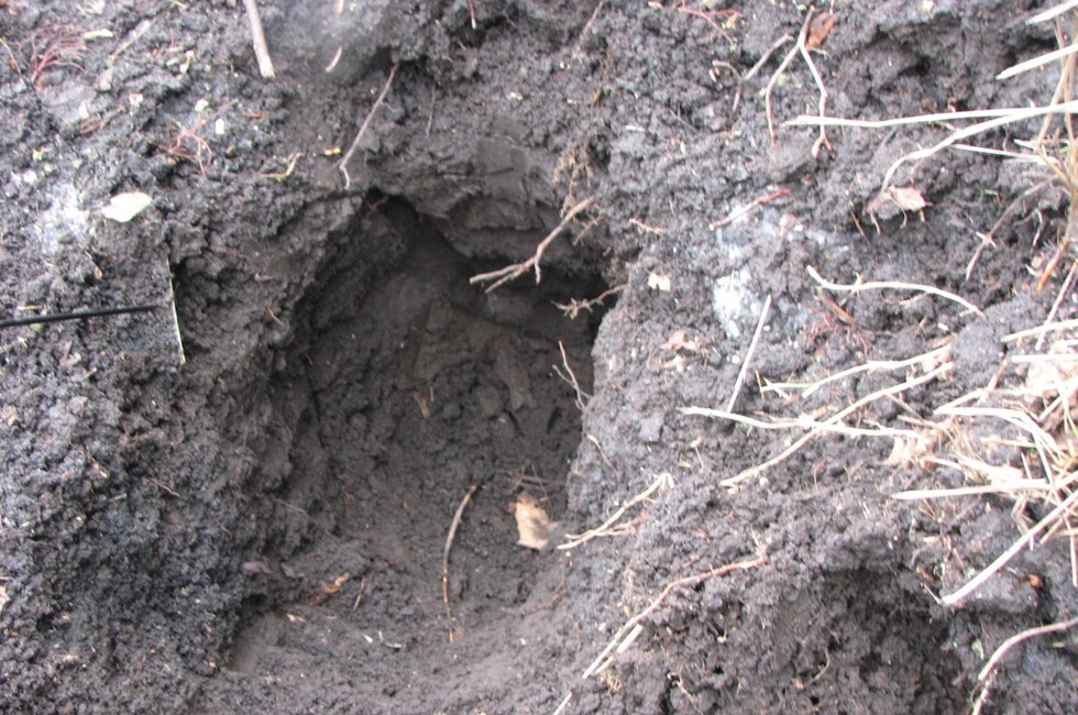 Генеральная прокуратура ДНР