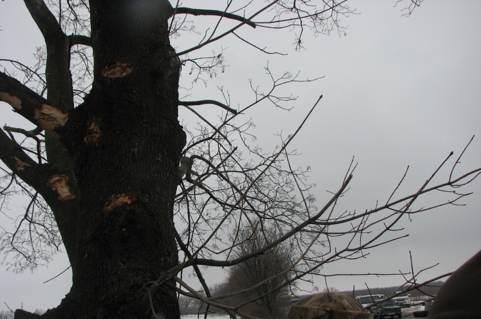 Генеральная прокуратура ДНР