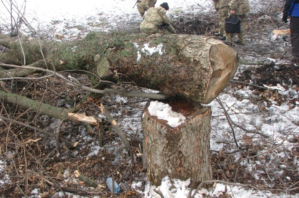 Генеральная прокуратура ДНР