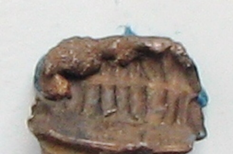 Фото предоставлено Генпрокуратурой ДНР