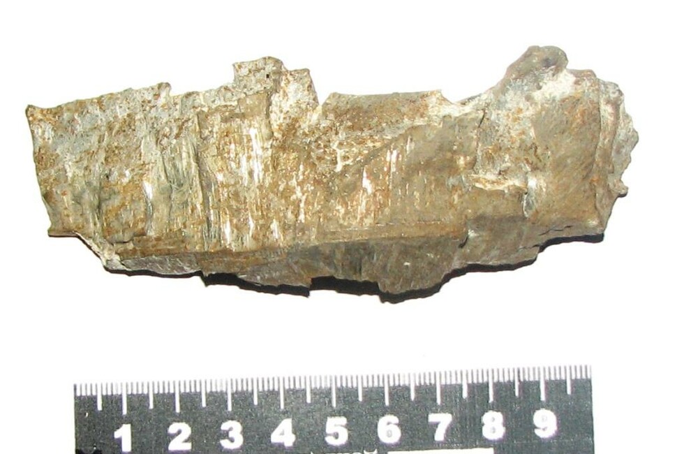 Фото предоставлено Генпрокуратурой ДНР