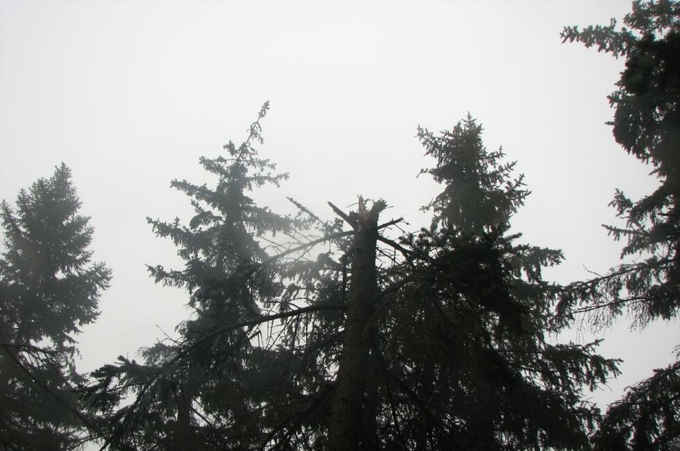 Фото: Генпрокуратура ДНР