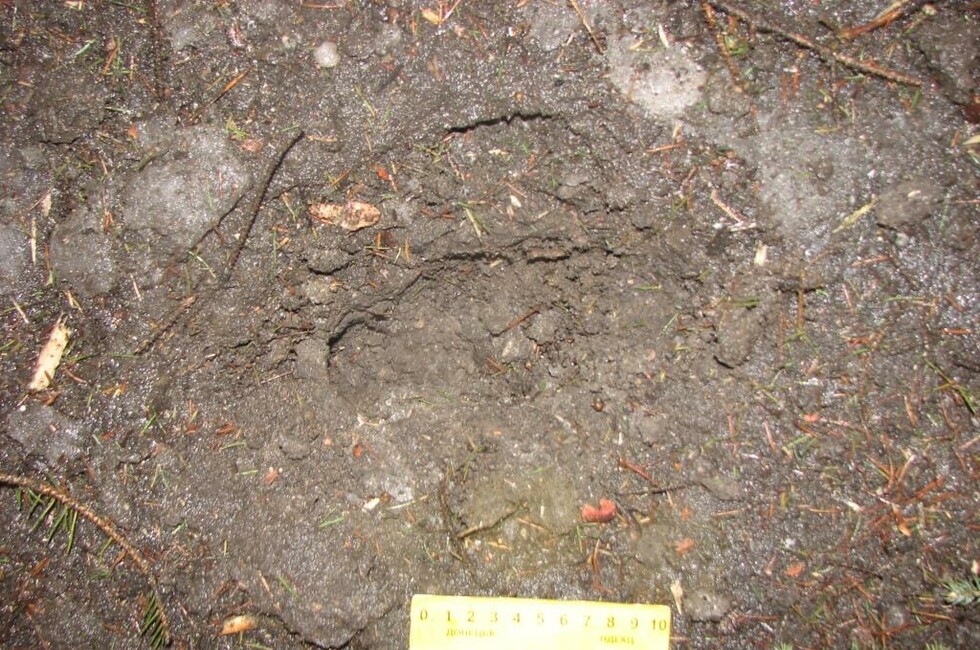 Фото: Генпрокуратура ДНР