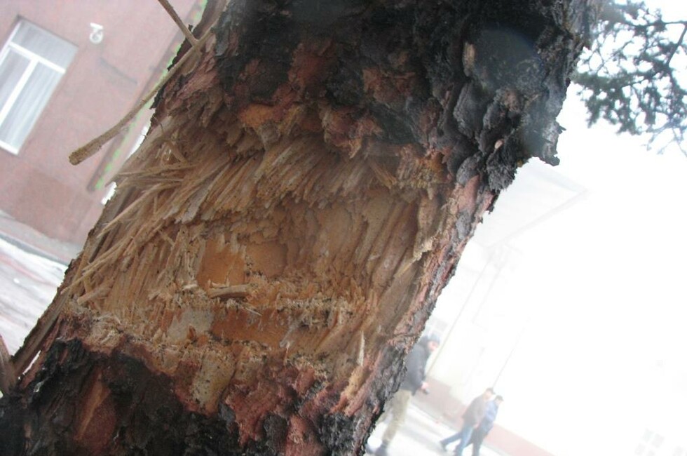 Фото: Генпрокуратура ДНР