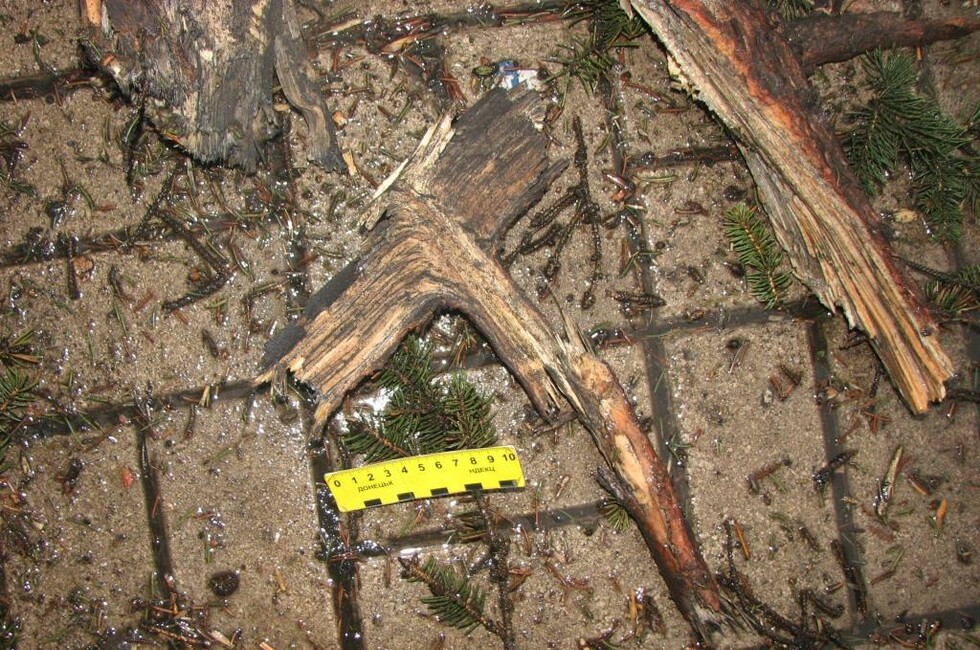 Фото: Генпрокуратура ДНР