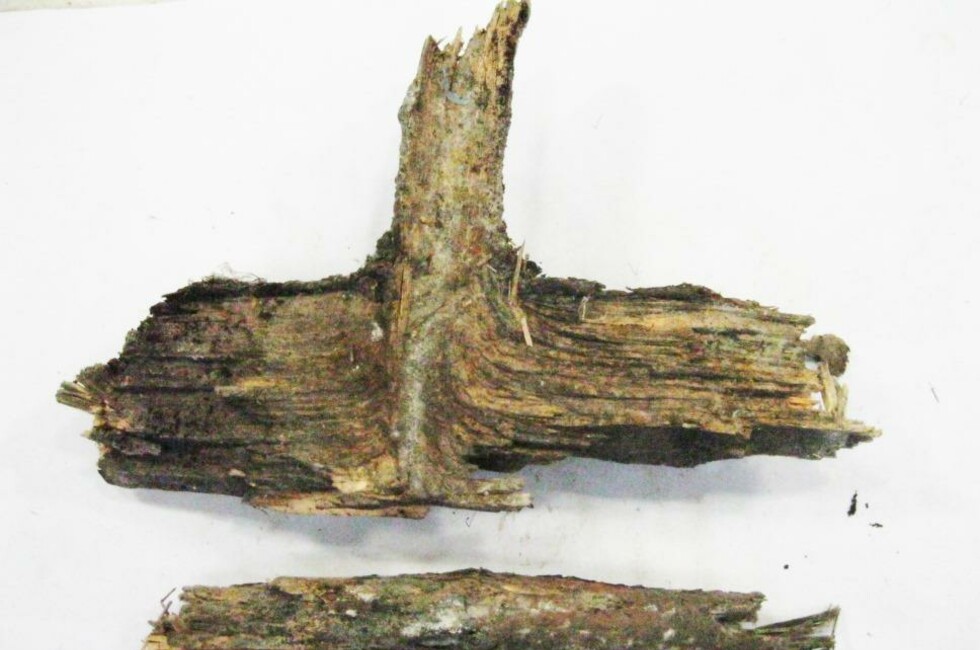 Фото: Генпрокуратура ДНР