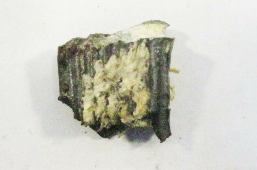 Фото: Генпрокуратура ДНР