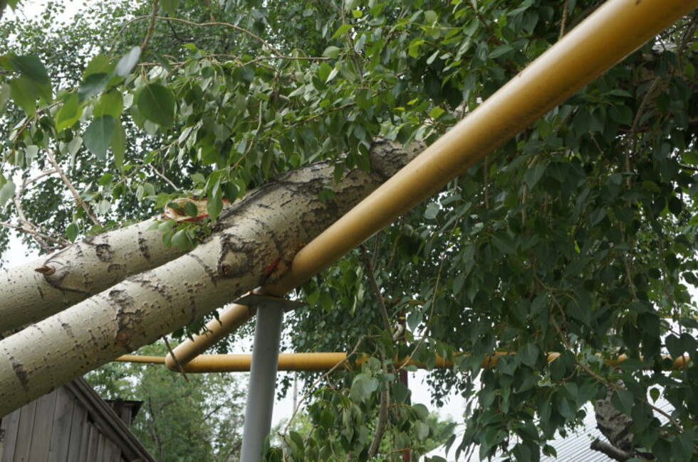 Фото: ГК "Донбассгаз"