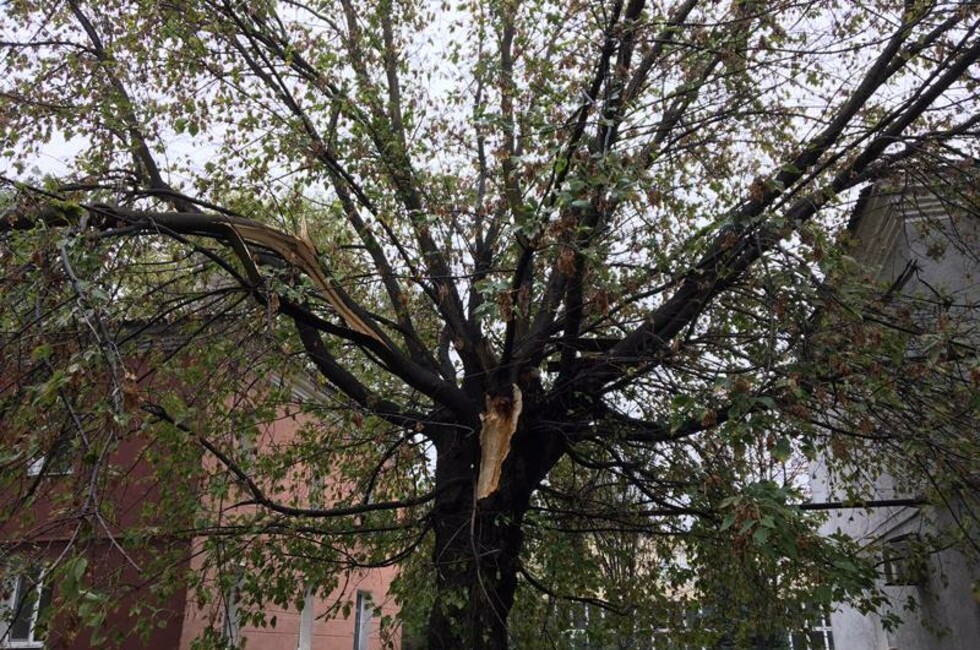 Фото: Администрация г. Донецка