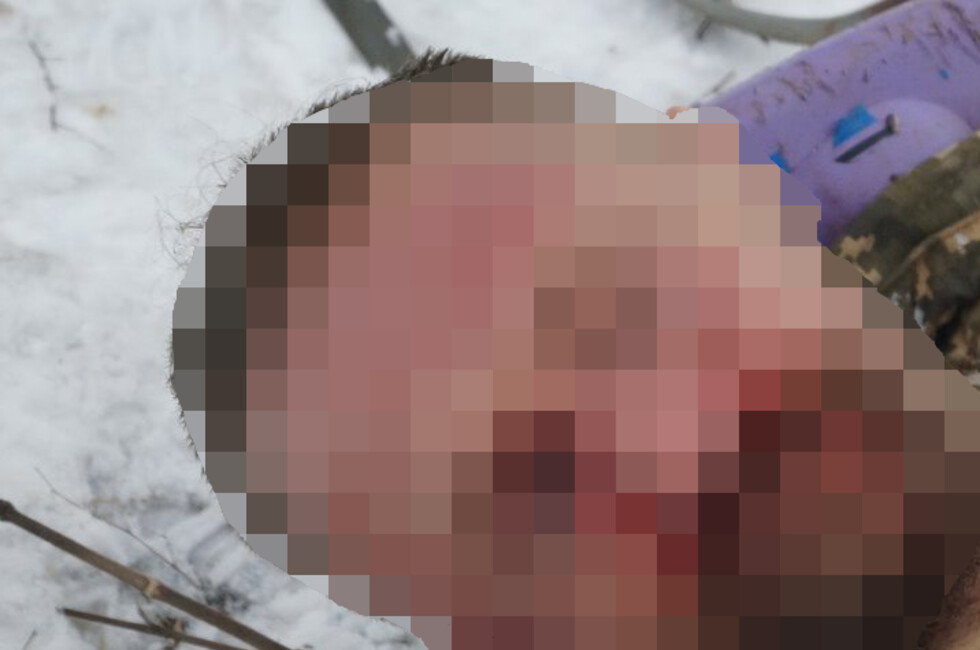 Фото: Оперативное командование ДНР