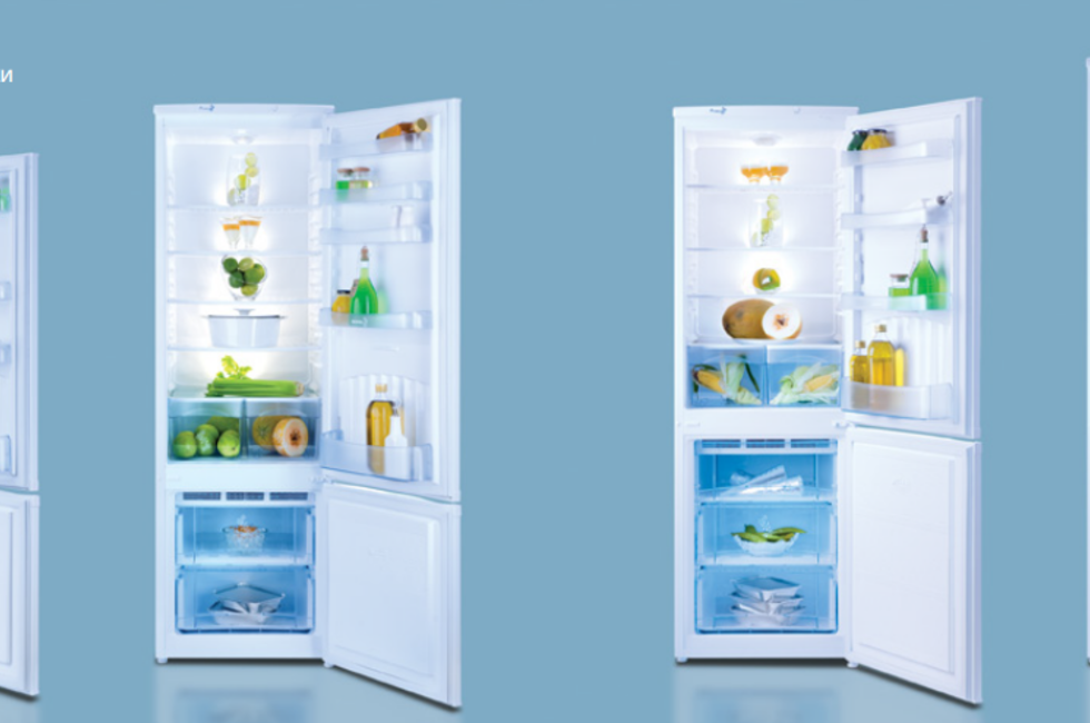 Вес двухкамерного холодильника. Холодильник Nord DX-221 двухкамерный. Холодильник Норд серый двухкамерный. Холодильник Nord Frost двухкамерный. Холодильник Норд двухкамерный модель 214.