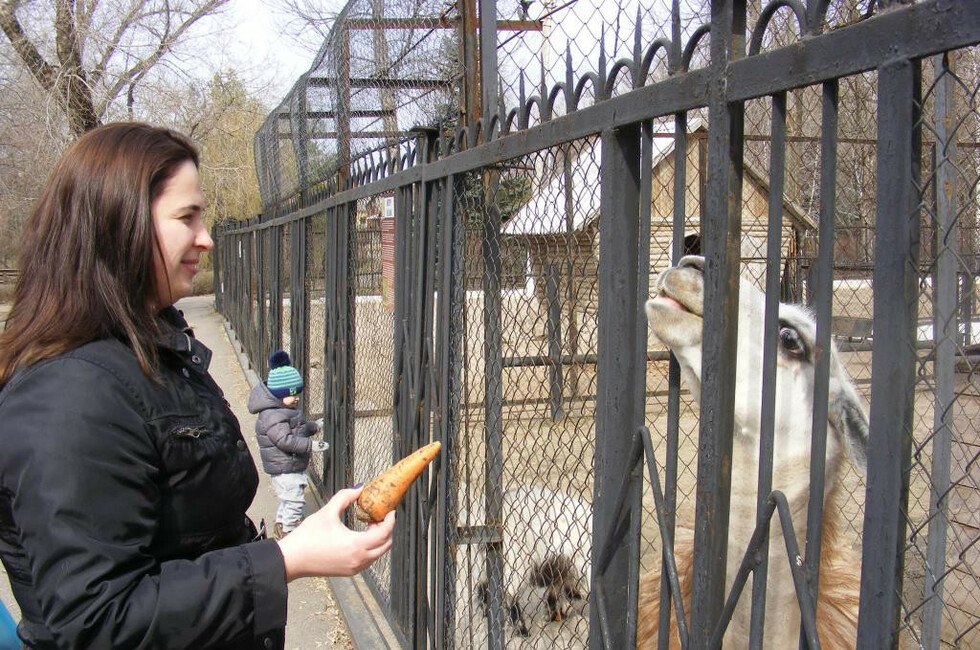 Фото: Минэкономразвития ДНР