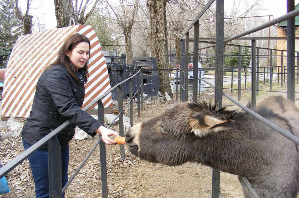 Фото: Минэкономразвития ДНР