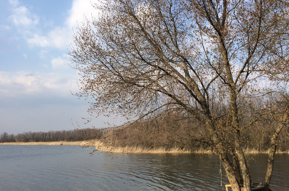 Фото: Минагропром