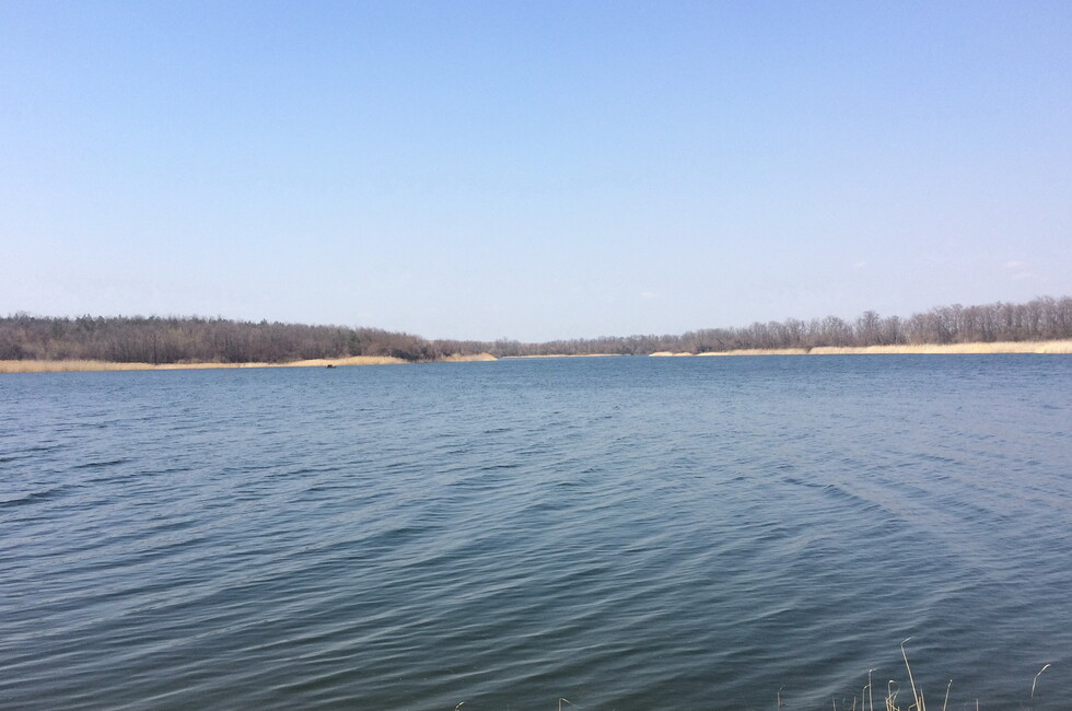 Фото: Минагропром