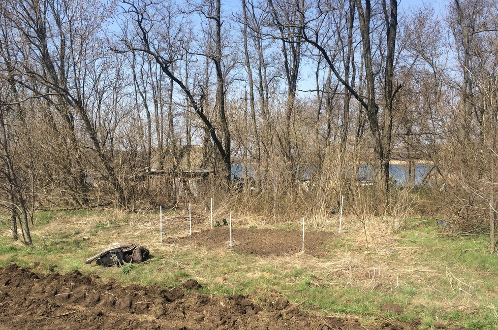 Фото: Минагропром