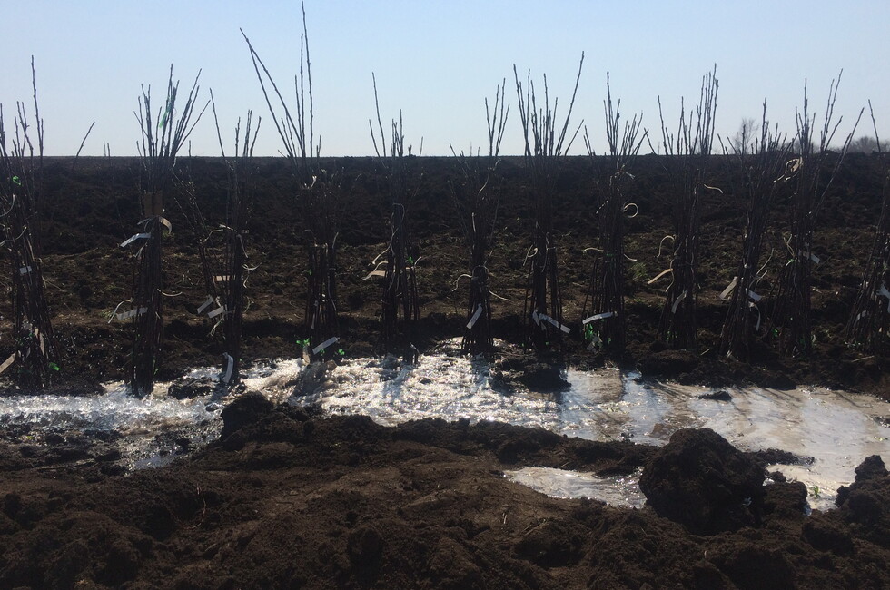 Фото: Минагропром