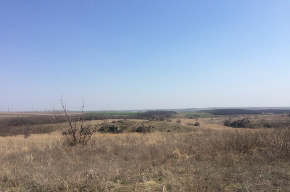 Фото: Минагропром