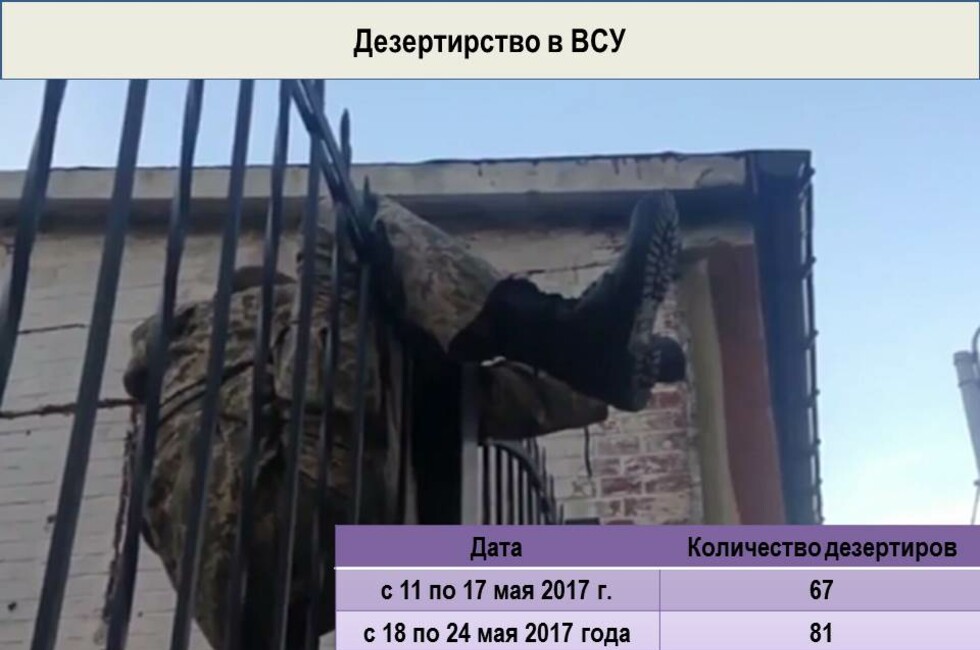 Графика: Оперативное командование ДНР