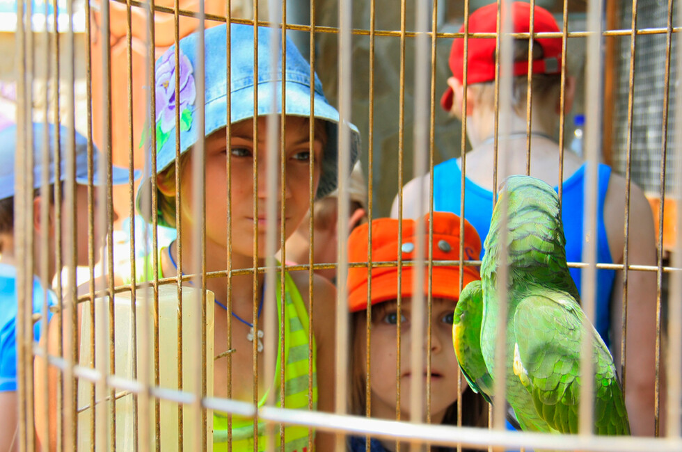 Фото: МЧС ДНР