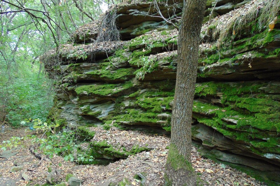 Балка Скелевая