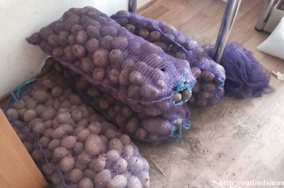 Фото: Аппарат омбудсмена ДНР