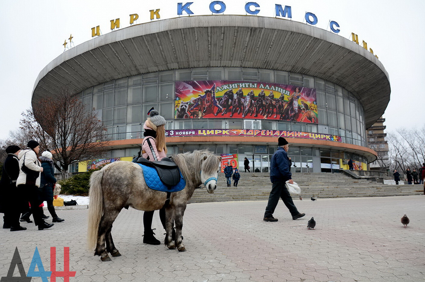 Донецкий цирк «Космос» за выходные посетили 400 детей из прифронтового  Новоазовского района - ОДДР - Общество - ДАН