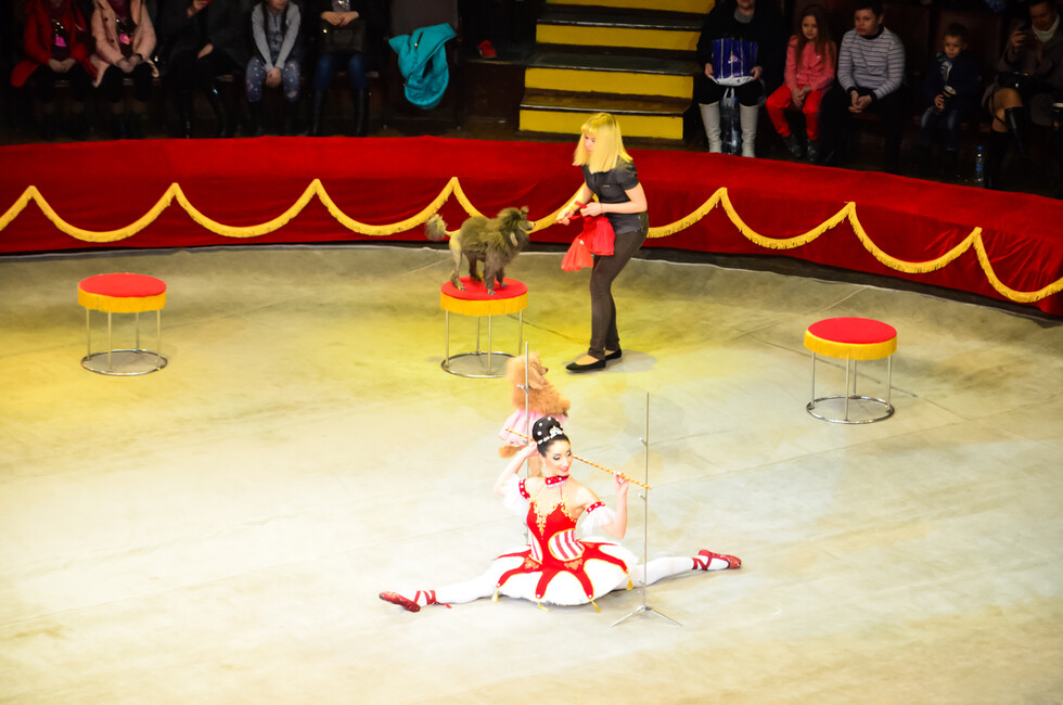 Фото: Пресс-служба ОД ДР