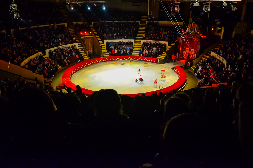 Фото: Пресс-служба ОД ДР