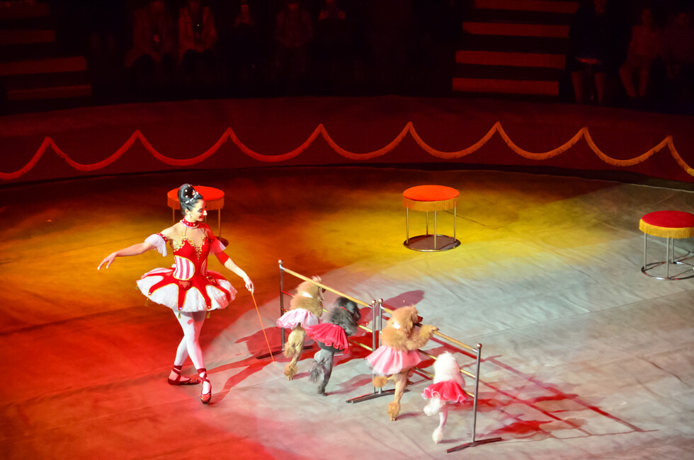 Фото: Пресс-служба ОД ДР