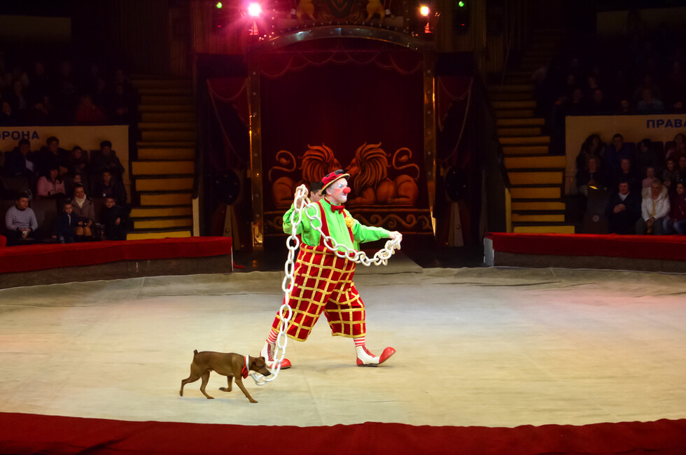 Фото: Пресс-служба ОД ДР