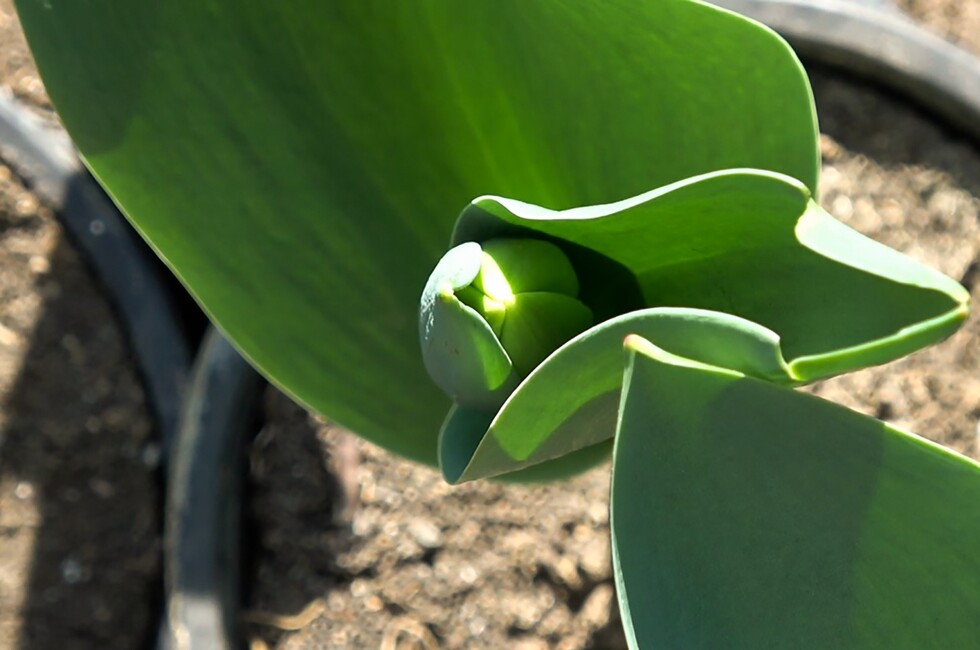 Фото: Пресс-служба администрации г. Донецка