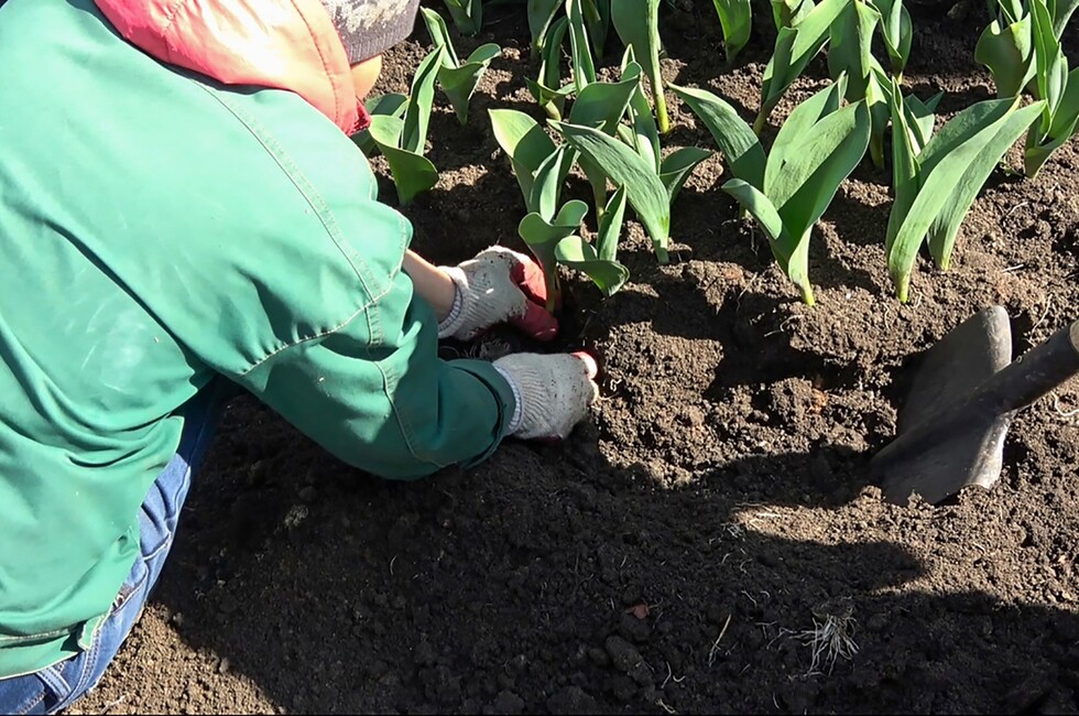 Фото: Пресс-служба администрации г. Донецка