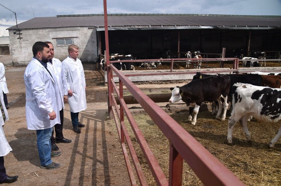 Фото: пресс-служба Главы ДНР