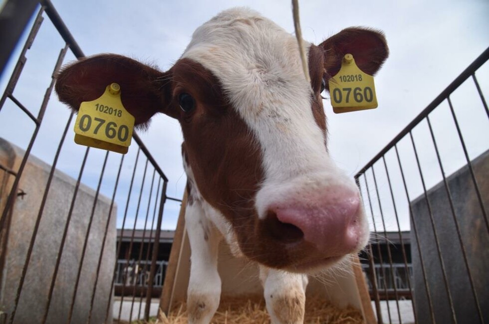 Фото: пресс-служба Главы ДНР, архив