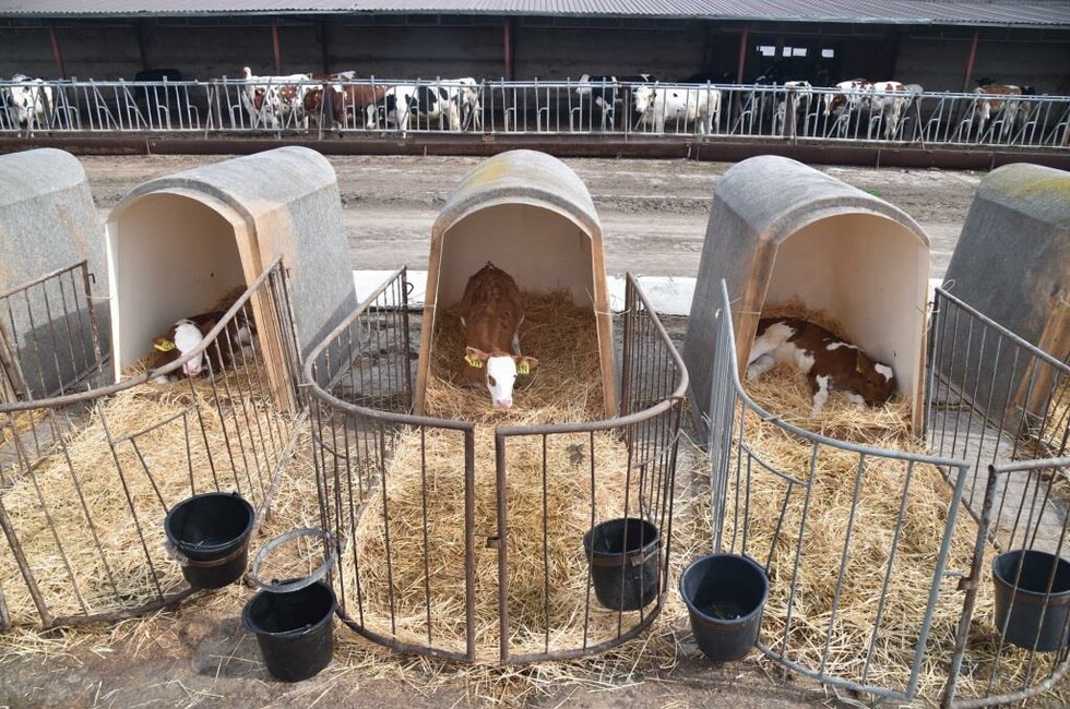 Фото: пресс-служба Главы ДНР