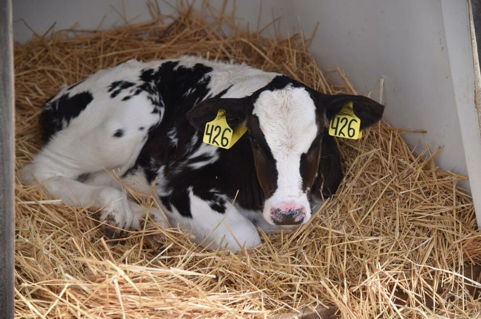 Фото: пресс-служба Главы ДНР