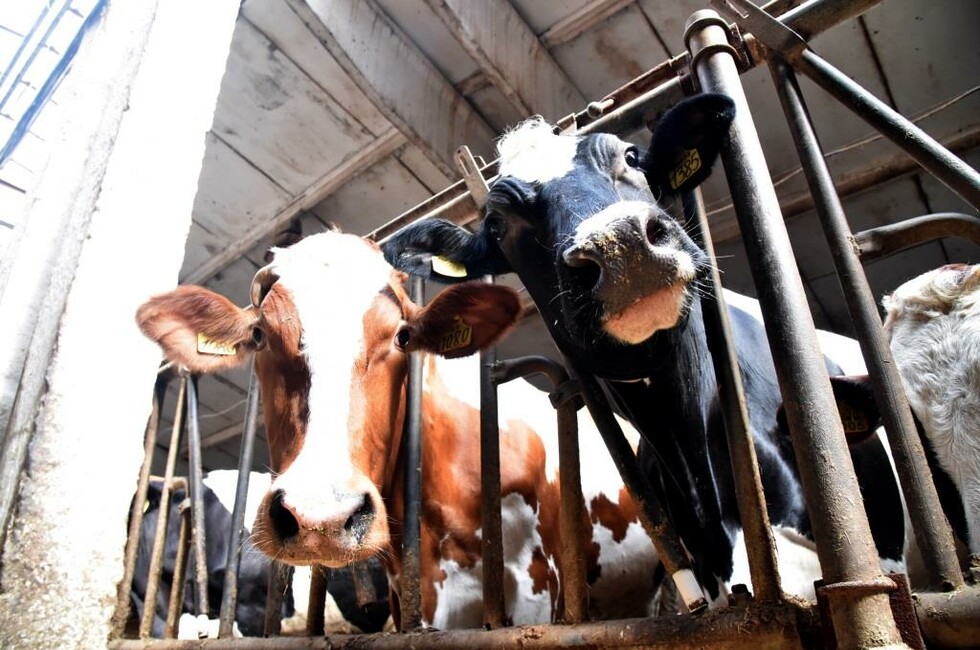 Фото: пресс-служба Главы ДНР