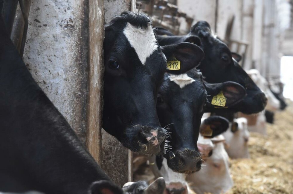 Фото: пресс-служба Главы ДНР