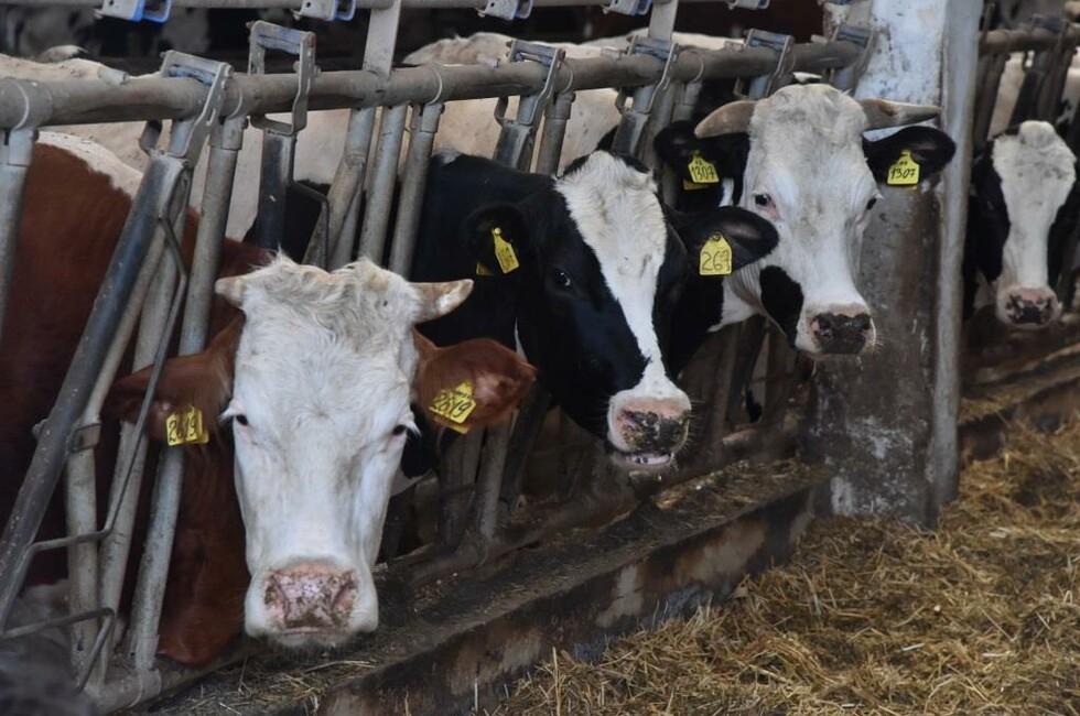 Фото: пресс-служба Главы ДНР