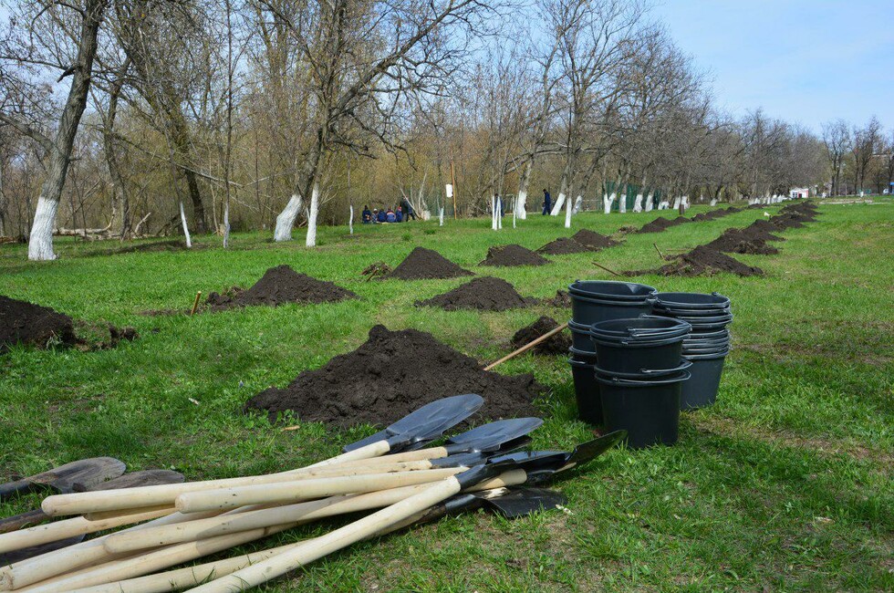Фото: Русский центр