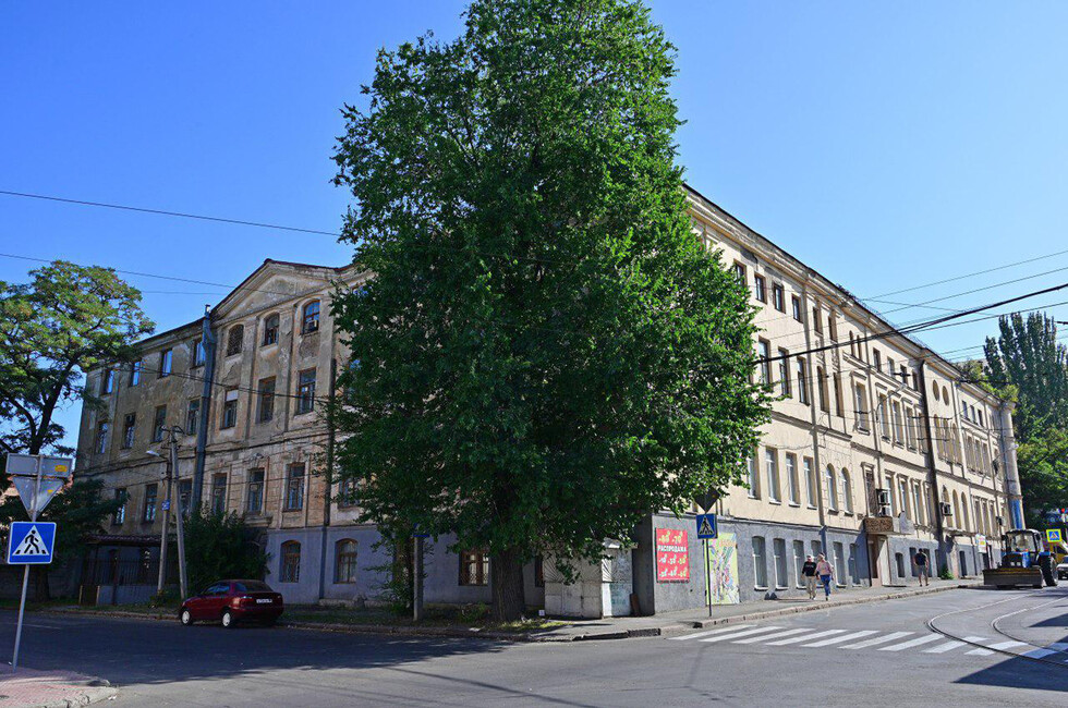 Фото: Донецкая муздрама