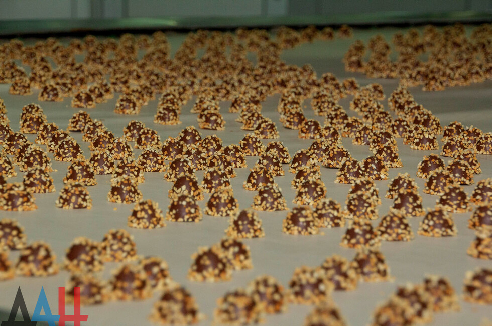 Фото: Пресс-служба ОД ДР